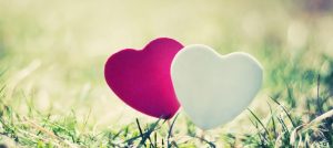 ブログ　日本で心のバリアフリーが進まないのはなぜ？