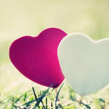 ブログ　日本で心のバリアフリーが進まないのはなぜ？